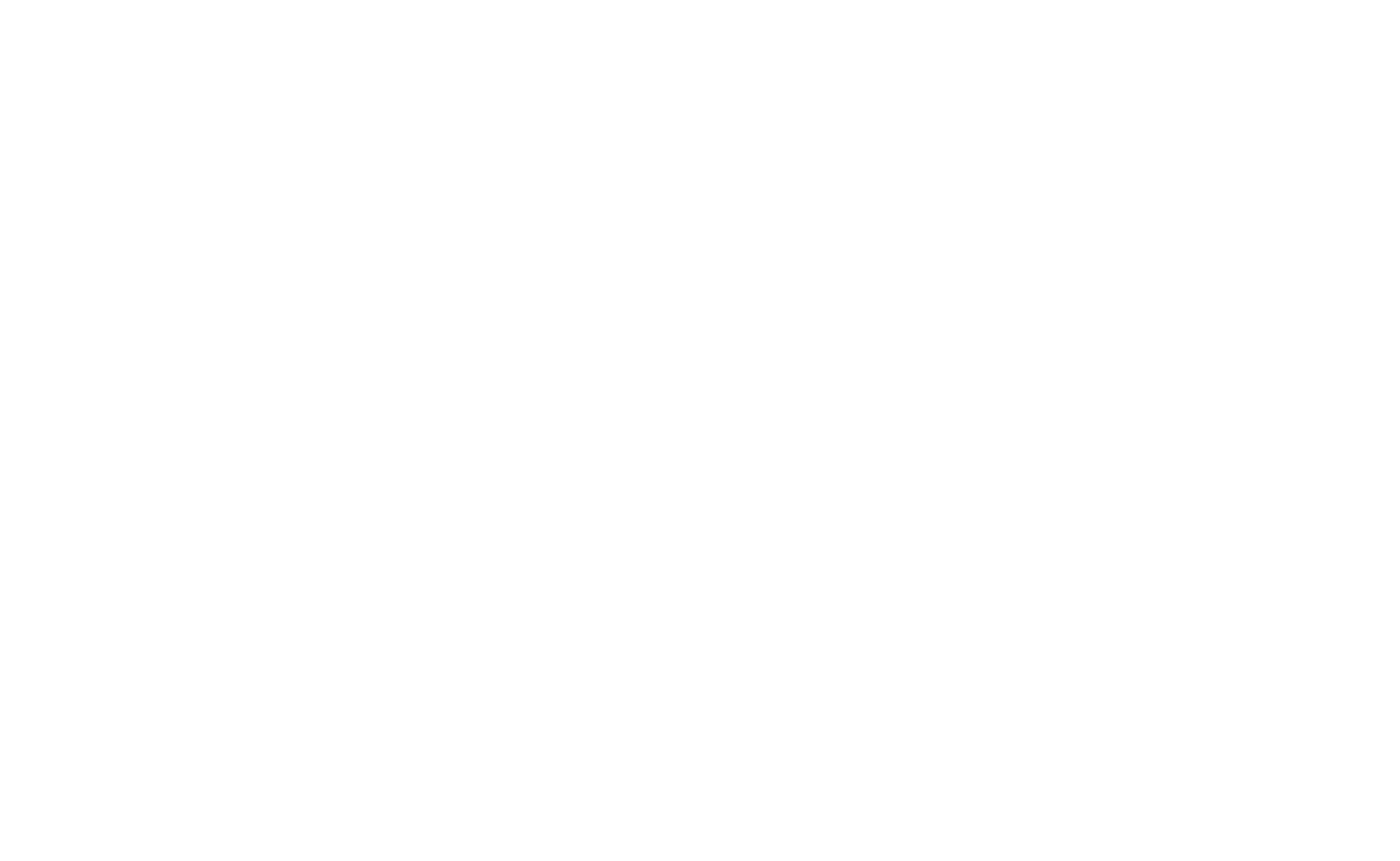 Team Logic IT Logo
